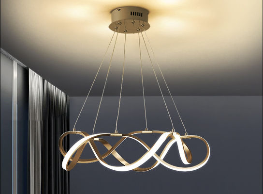 Or acrylique Ring Light moderne de fer de la puissance 33w 50w 69w d'abat-jour
